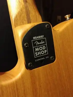 Mod Shop Neck Plate