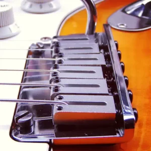 American Standard 2-Point Synchronized Tremolo, side view