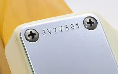 JV Strat Neck Plate