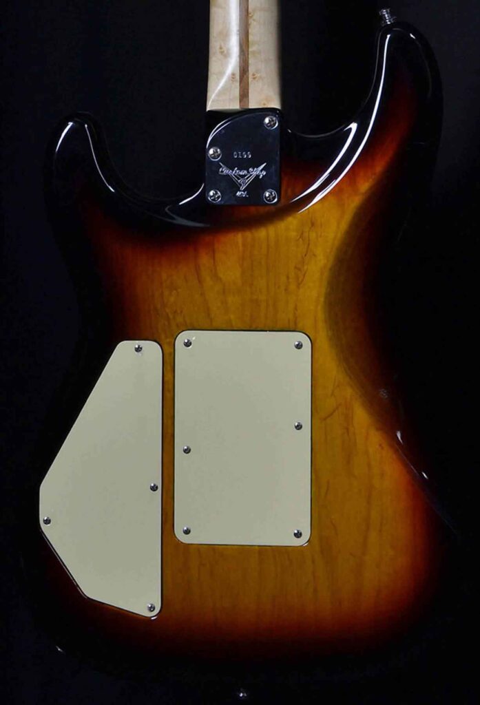 Carved Top Stratocaster, Back