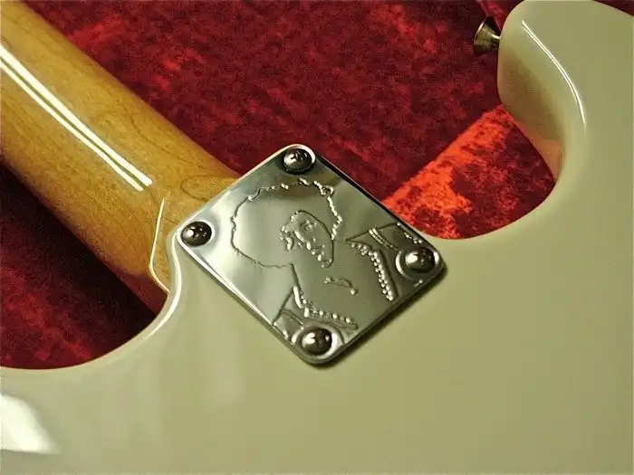 Voodoo Stratocaster Neck Plate
